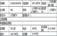 宜宾市兴文县11月16日拍卖1宗商住用地