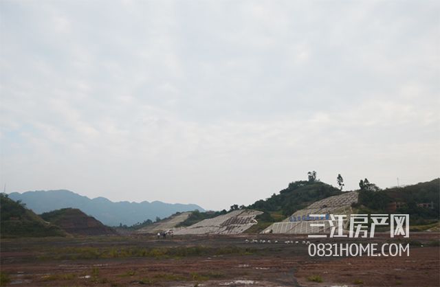 未标题-4.jpg