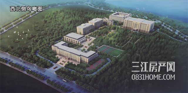 未标题-8.jpg