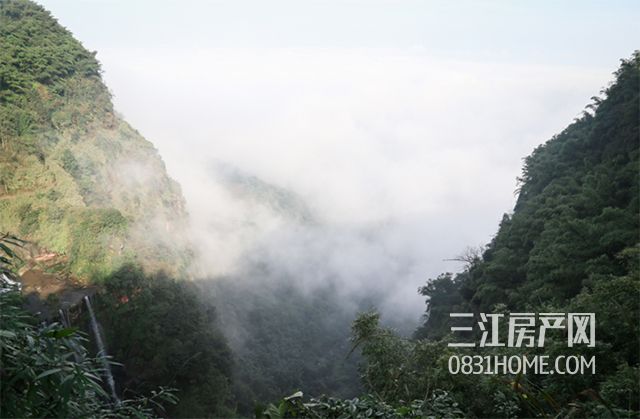 未标题-8.jpg