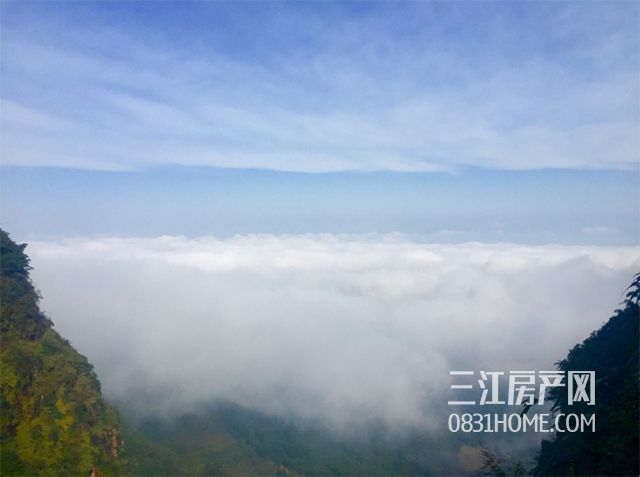 未标题-9.jpg