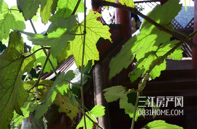 未标题-18.jpg