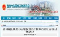 攀上临港这条大船！这里将建宜宾首条江底隧道？