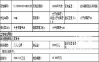 1月4日，兴文县拍卖1宗商住用地