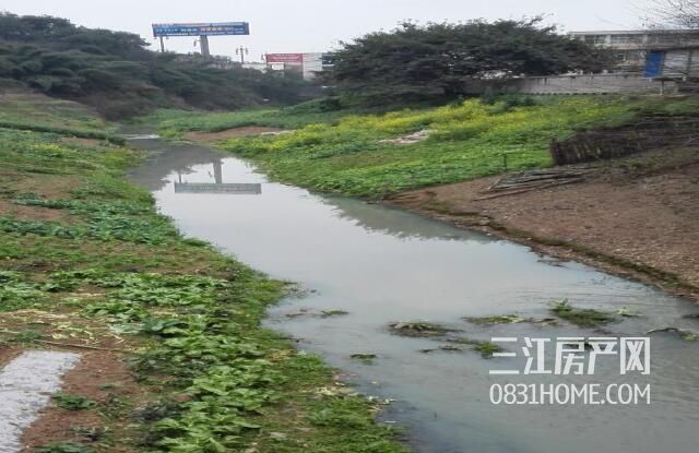 柏树溪现状.jpg