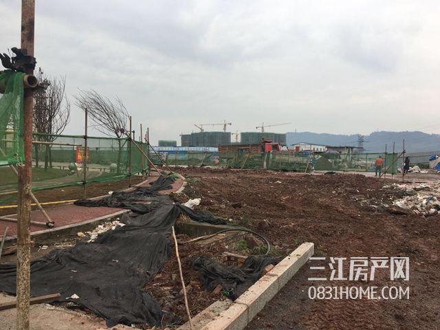 微信图片_20180110091139.jpg