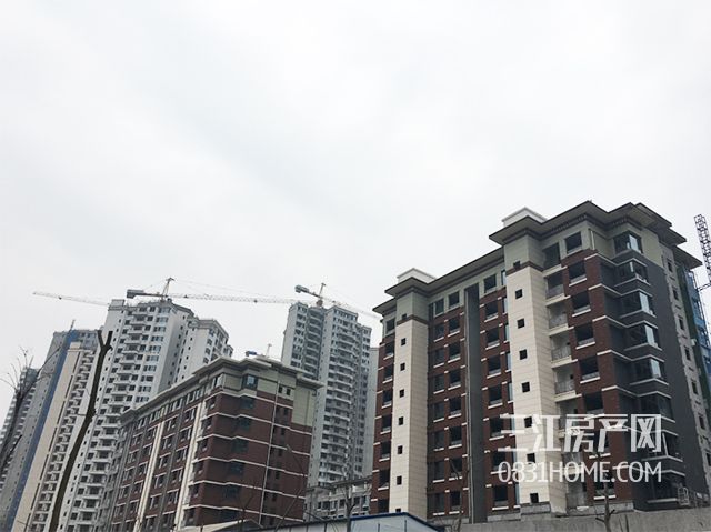 未标题-3.jpg