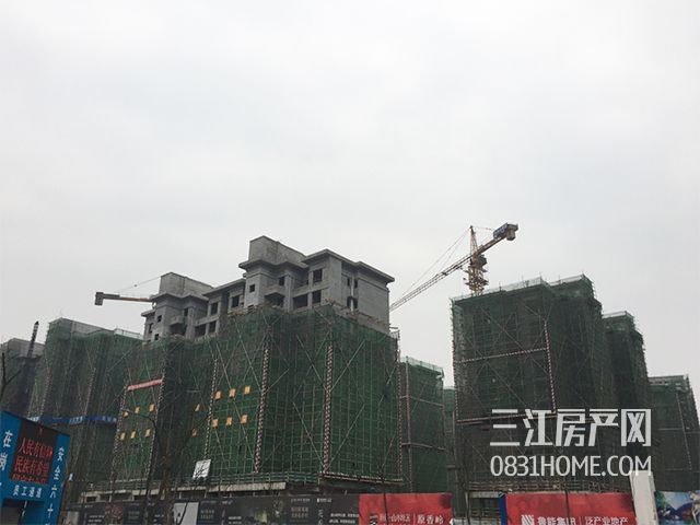 未标题-4.jpg