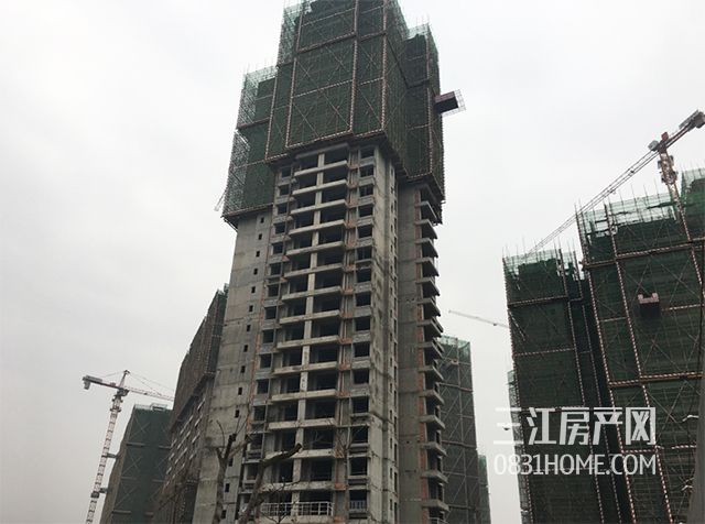 未标题-5.jpg