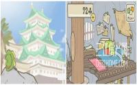 这只网红青蛙爱旅行的背后，原来是因为这样？