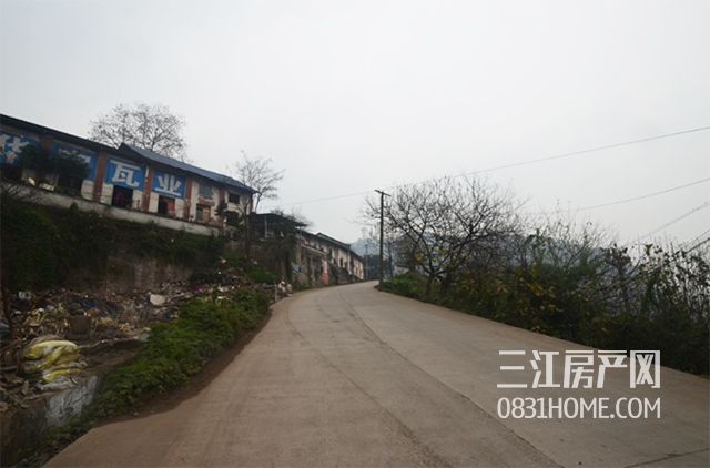 未标题-9.jpg