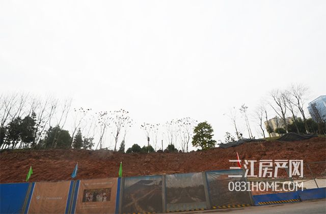 未标题-8.jpg