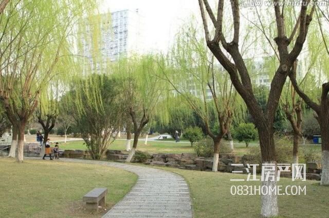 QQ截图20180206161829.jpg
