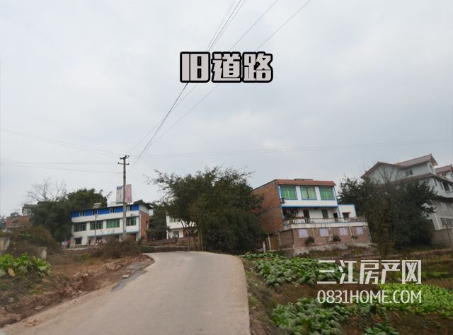 未标题-5.1.jpg