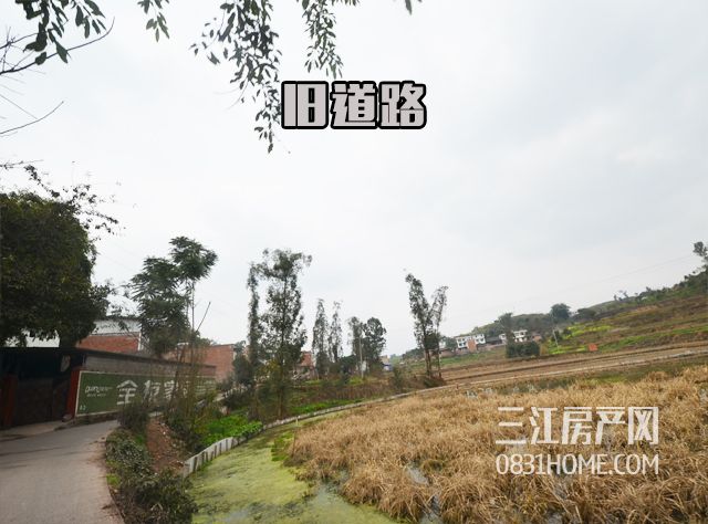 未标题-5.4.jpg