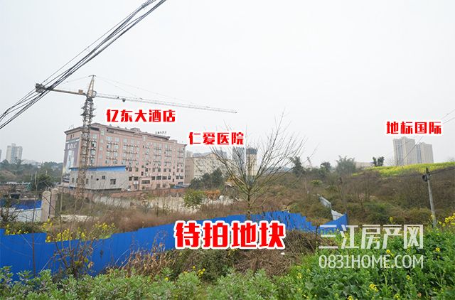 未标题-5.jpg