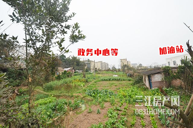 未标题-10.jpg