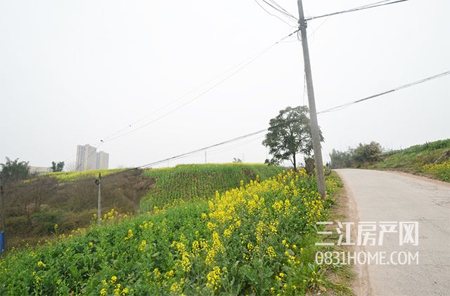 未标题-9.jpg