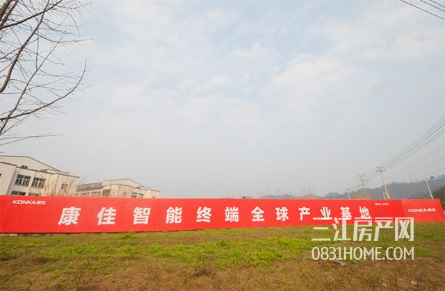未标题-11.jpg