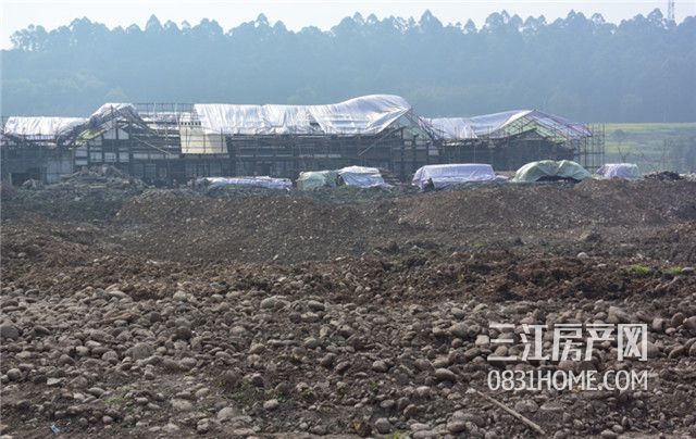 QQ截图20180316114632.jpg