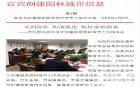241亩！宜宾南部新区又一个公园来了，在这里?