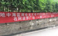 什么操作？！地中海蓝湾的“离奇”选举
