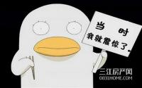 吃害了，宜宾这个项目遭泄密了？大量机密被“曝光”......