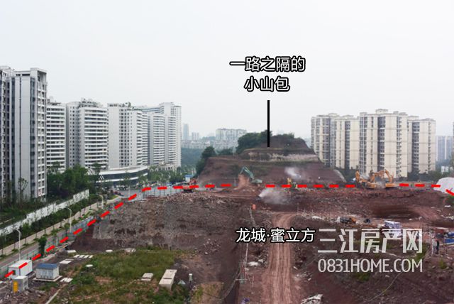100.jpg
