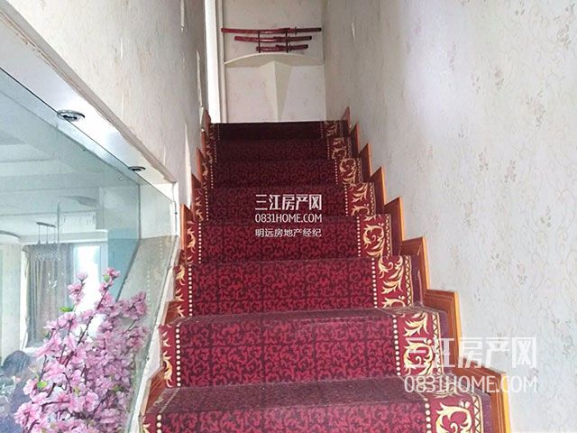 05141524826cc63ddf5203.jpg