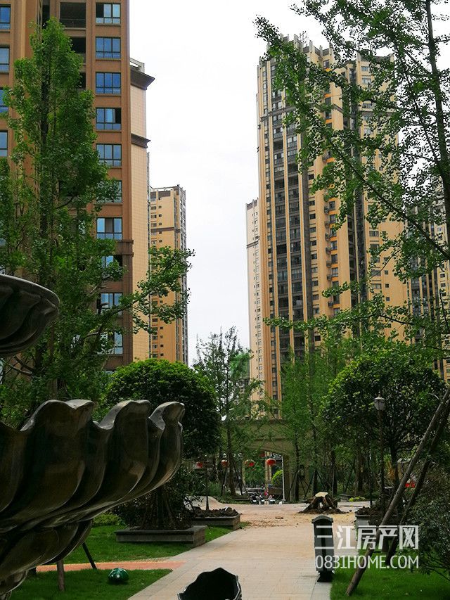微信图片_20180511141156_副本_副本.jpg
