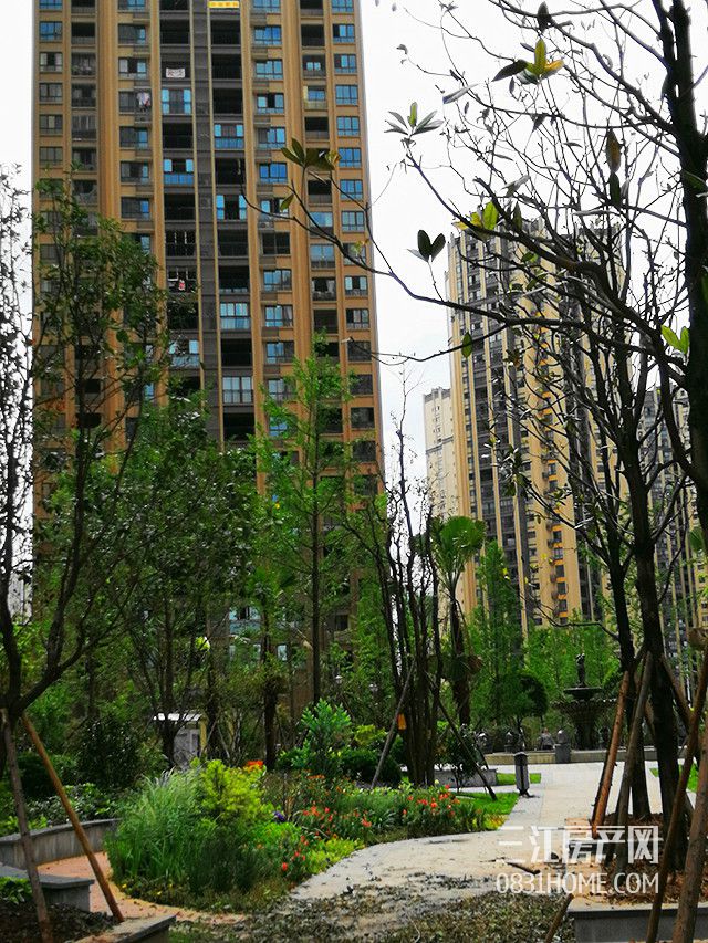 微信图片_20180511141216_副本_副本.jpg