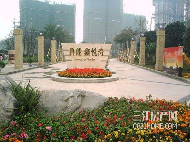 timg-(1).jpg