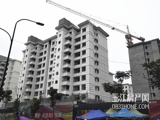 微信图片_20180626143411_副本.jpg