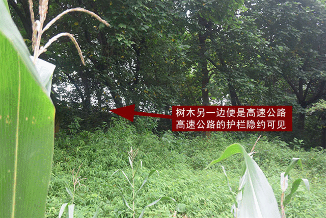 DSC_4832_副本.gif