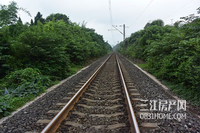 DSC_4836.jpg