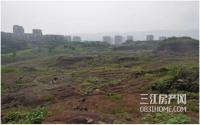 宜宾地价新王诞生，大地坡各小区业主要笑醒？