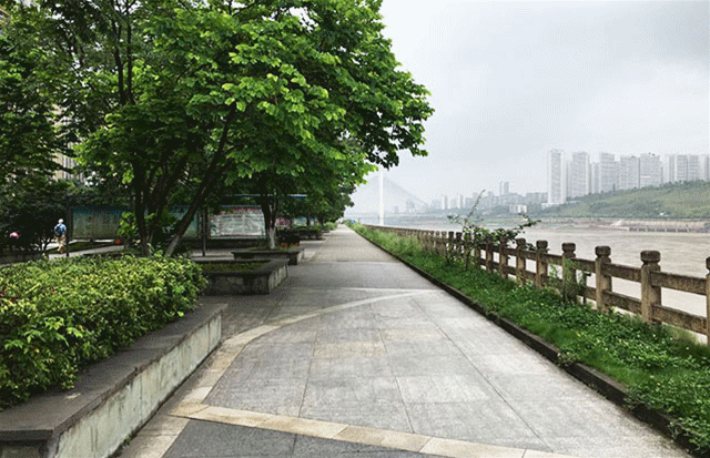 1Q图片20180712141752_副本.gif
