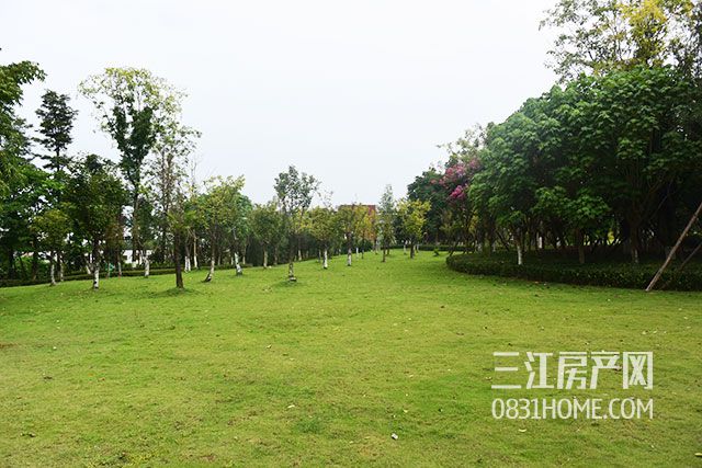 DSC_4453.jpg