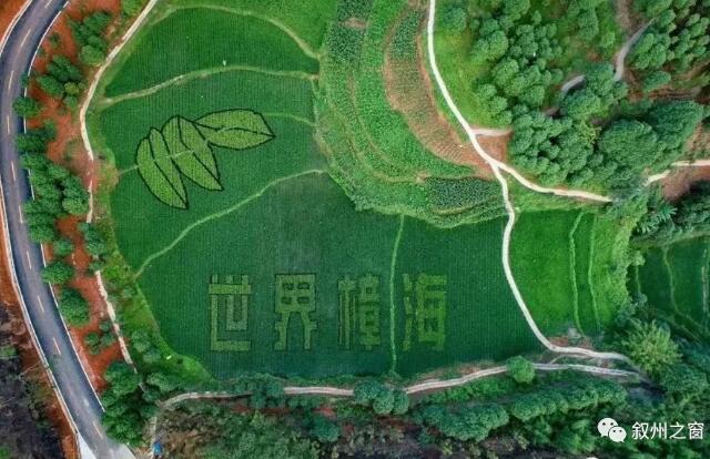 QQ截图20180925151432.jpg