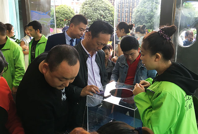 QQ图片20181001115808.jpg