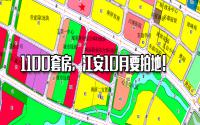 再来1100套房，10月江安要卖2宗“洋房组合地”？