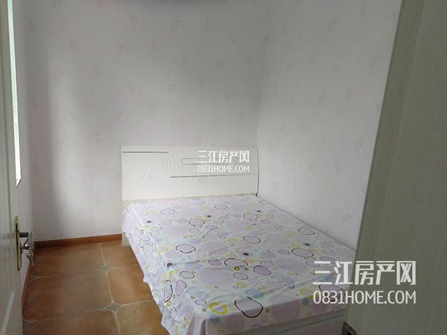 111754177cba1ec0ef6248.jpg