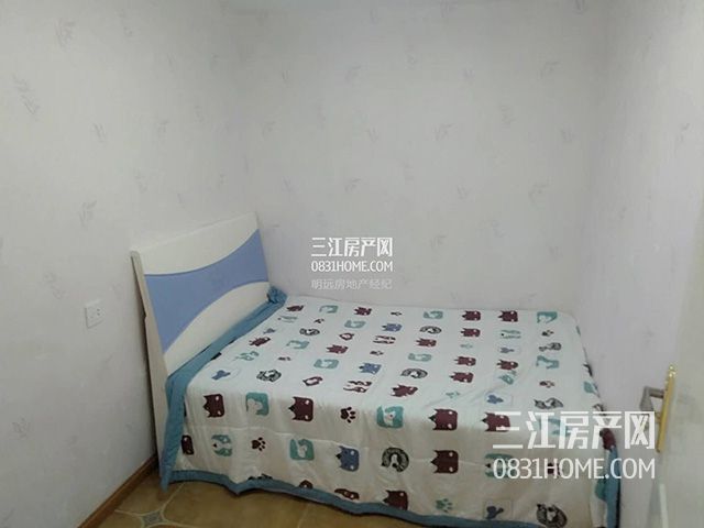 1117541765fb8d6ccd7391.jpg