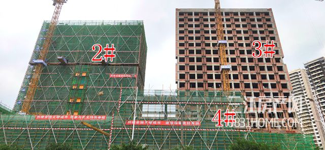 微信图片_20181025091424_副本.jpg
