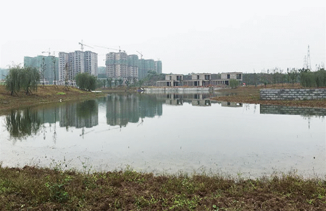 QQ图片20181025143914_副本.gif