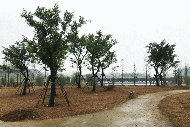 QQ图片20181025143905_副本.gif