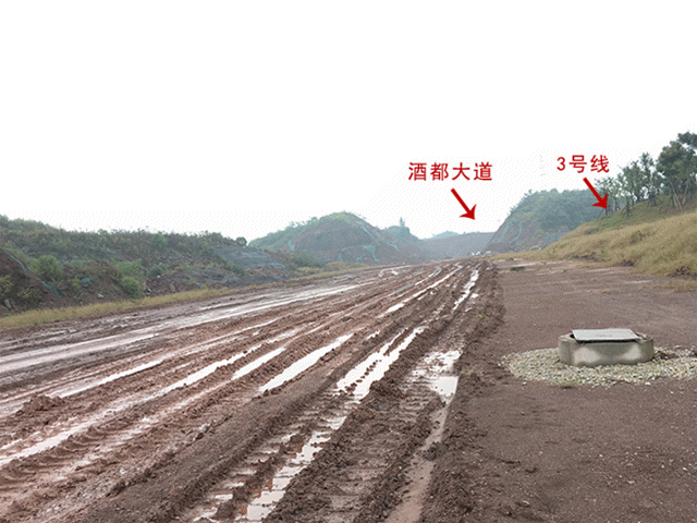 3010041062387d38967533.gif