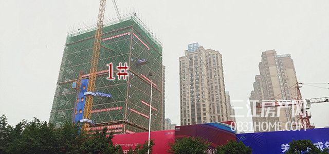 微信图片_20181129094937_副本_副本.jpg