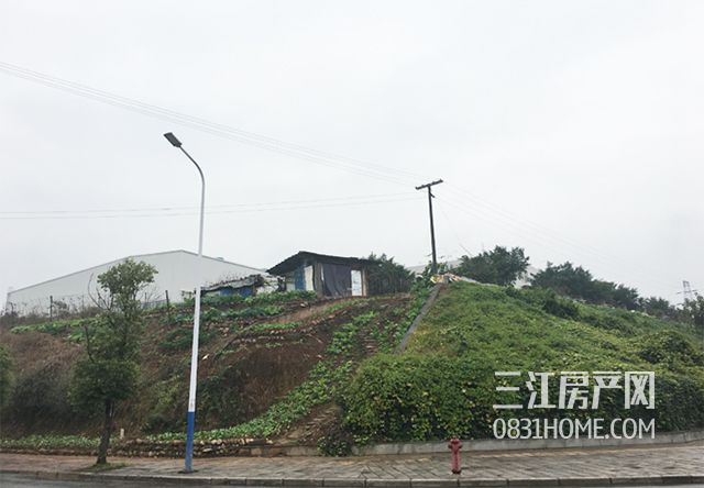 未标题-6.jpg