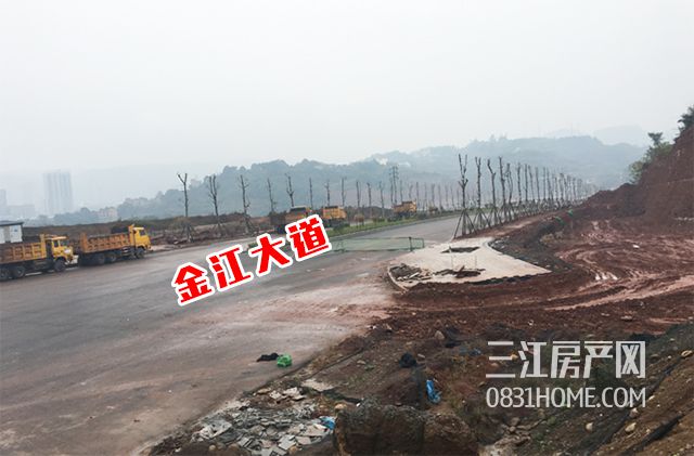 未标题-13.jpg